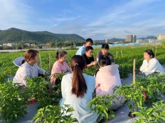 正在国际合做、平台扶植取尺度输出等得系列冲